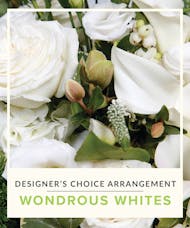 Designer's Choice - Wonderous White