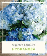 Hydrangeas - Wrapped Bouquet