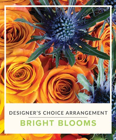 Designer's Choice - Bright Blooms