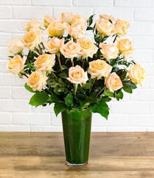 Peach Roses By The Dozen