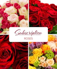 Monthly Rose Subscription