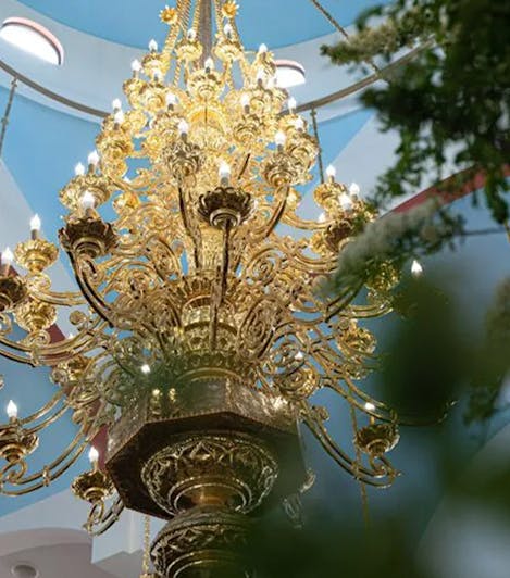 An ornate golden chandelier, partially obscured by branches and leaves