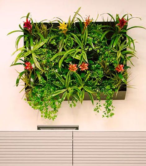 A very large, wall-mounted box of green plants is hung above a filing cabinet